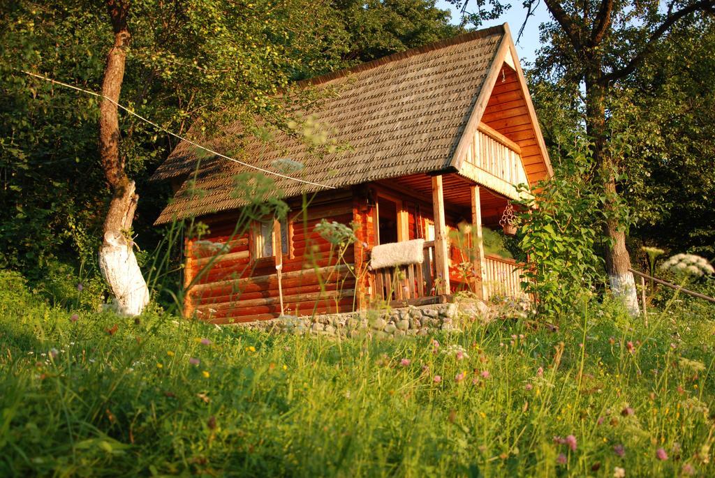 Pensiunea La Gorgan Vadu Izei Exterior photo