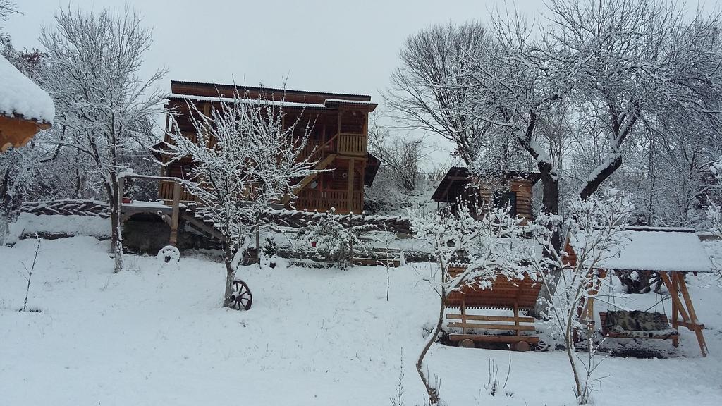Pensiunea La Gorgan Vadu Izei Exterior photo