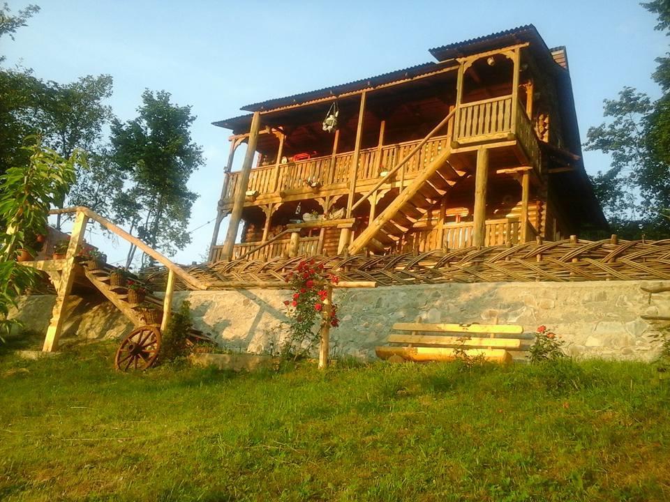 Pensiunea La Gorgan Vadu Izei Exterior photo